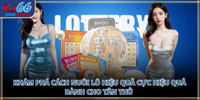 Cách nuôi lô hiệu quả KO66: Chiến lược chơi bền bỉ 2026